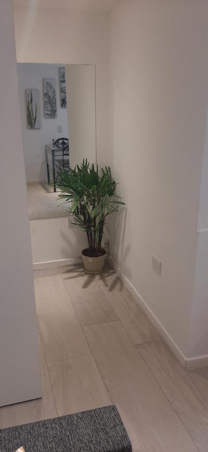 Coqueto Loft Palermo Hollywood Apartment Buenos Aires Bagian luar foto